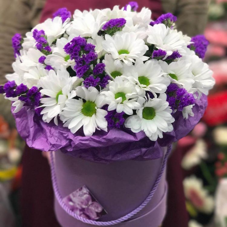 Северное сияние от 10 300 руб.